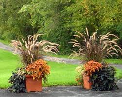 Fall Planter Ornamental Grass Put This At Beginning Of Drive Way Across From Mailbox Fall Container Gardens Fall Planters Container Garden Design