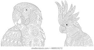 Epingle Sur Dessins Pour Adultes