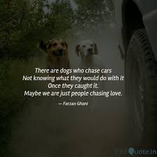 There Are Dogs Who Chase Quotes Writings By Farzan Ghani Yourquote Why so serious?videosi'm a dog chasing cars.! quotes writings by farzan ghani