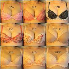 Boobs Growth Diary #7: Wardrobe Cleaning After a Natural Breast Growth from  32A to 34DD(ish)! — Give Me Some Boobs!
