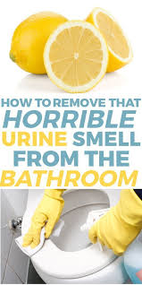 How To Remove That Horrible Urine Smell From The Bathroom Deep Cleaning Tips House Cleaning Tips Cleaning Hacks