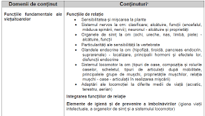 Https Www Isjbraila Ro File Comp Discipline Domenii 1568592561 Consfatuire 202019 Pdf