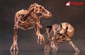 I think he was a small arms dealer. Tyrannosaurus Rex
