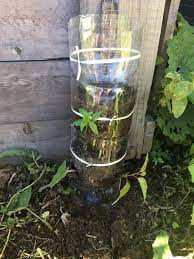 We did not find results for: How To Make A Bottle Tower Garden