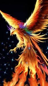 Check spelling or type a new query. Phoenix Bird Wallpapers 61 Best Phoenix Bird Wallpapers And Images On Wallpaperchat