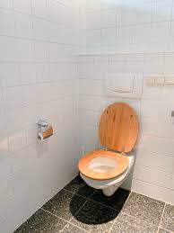 .had also been badly injured in a carriage accident which had left him disabled and confined to a bath chair. Blog Occupational Therapy Home Modification