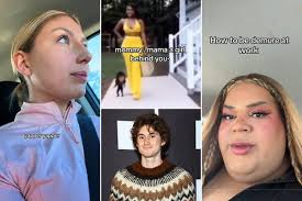 Viral News of 2024: 'Brat,' Demure, Moo Deng, Pookie and Jett and More