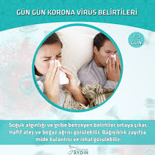 Korona Virus Belirtileri Korolar Ordu Grip