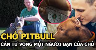 Vẫn kip gọi điện thoại báo người thân đến để đưa anh đi cấp cứu và mang con chó về nhốt trong nhà. D Cnlwqzzrlfcm
