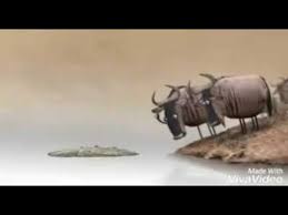 Kamu hanya perlu masuk ke link ujian kepekaan yang akan admin cantumkan dibawah. Ujian Kepekaan Youtube