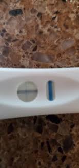 Negative &Amp; False-Negative Pregnancy Tests: Causes &Amp; What To Do - Flo