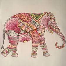 Raphitax S Photo On Instagramwidget Millie Marotta Coloring Book Millie Marotta Animal Kingdom Animal Kingdom Colouring Book