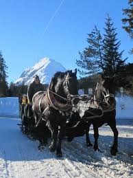 Adventskalender schlittenfahrt, zum besticken in kreuzstich nach zählvorlage (ca. Schlittenfahrt Zur Wildmoosalm Picture Of Haus Alpengruss Seefeld In Tirol Tripadvisor