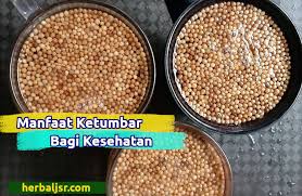 Salah satu manfaat kesehatan ketumbar adalah dapat digunakan sebagai salah satu obat herbal terbaik untuk diare. 25 Manfaat Kesehatan Ketumbar Di Minuman Bumbu Masak