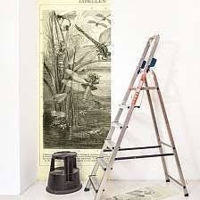 Haal De Natuur In Huis Met Onze Behangen En Prints Naturalis Unlimited Behang Muurposters Murals En Decoratie Op Basis Van De N Behang Muurposter Prints