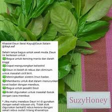 Tidak ada informasi yang cukup andal tentang keamanan mengonsumsi serai jika anda. Kenali Ulam Ulaman Daun Suzyhoneyherbs Byanggun Facebook