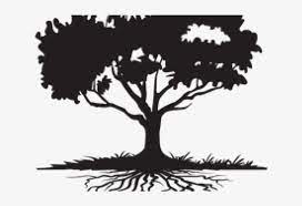 This post announces some important changes for the. Roots Clipart Family Tree Colossians 2 7 Png Image Transparent Png Free Download On Seekpng