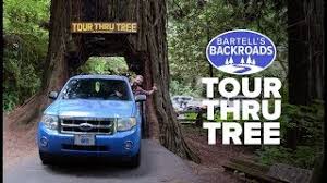 Every time, without fail, the owner lady drives down to ask if i have paid, she is very distrustful and unfriendly. Tour Thru Tree In Klamath California Unique Toll Road A Bartell S Backroads Pit Stop Youtube