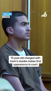 The Hialeah teen who confessed to brutally stabbing his mother to death  last month made his first courtroom appearance today.⁠ ⁠ Derek Rosa  appeared before a Miami-Dade judge for a status hearing as ...