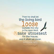 Pin On The Book Of Leviticus
