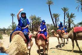 Learn vocabulary, terms and more with flashcards, games and other study tools. Marrakech Camel Ride In The Oasis Palmeraie Getyourguide