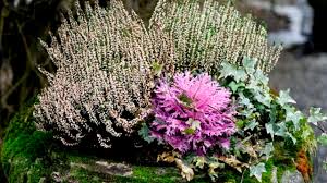 Did you scroll all this way to get facts about moss clay pot? Make Moss Covered Pots