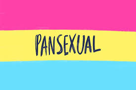 It was first created on the created to be like the bisexual and pansexual flags, the polysexual pride flag similarly includes. Pansexual Movement Lgbt Symbol Color Flat Flag Sexual Minorities Gays And Lesbians Stock Illustration Illustration Of Freedom Culture 138417643