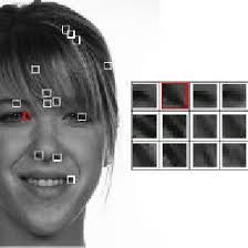 PDF) Facial Feature Detection Using A Hierarchical Wavelet Face Database