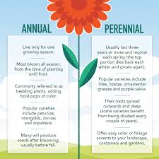 Once you select an annual report, you will be able to view and download the entire file for free. Annual Vs Perennial A Harmony Of Differences Make A Gorgeous Garden Westlake Ace Hardware