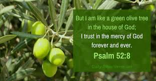 Photography/psalm 52 2 | Photo Body and Art