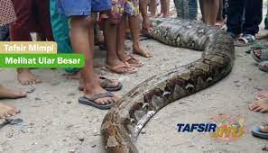 Concept 14 Angka Mimpi Ular Ganti Kulit Paling Populer