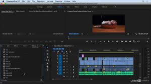 Perché gli utenti dovrebbero scegliere adobe premiere? Undoing And Redoing Actions Adobe Premiere Pro Cc 2018 Youtube
