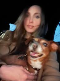 Found microchipped dog in Mill Valley, Marin County