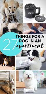 27 Things That Make Having A Dog In A Small Apartment A Walk In The Park Tiny Partments Apartment Dogs Dog Gadgets Apartment Pet