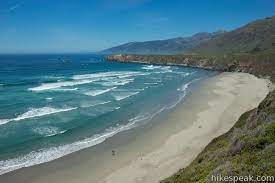 If you know of a local business that could use some extra support during these times, please sand dollars that are still living are actually brown and slightly fuzzy. Sand Dollar Beach Big Sur Hikespeak Com