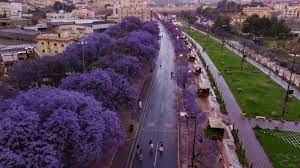 May 26, 2021 · إصابة خطيرة للاعب أبها فهد الجميعة في مباراة الاهلي بالجولة 29 من دوري المحترفين أخبار 24 26/05/2021 12,966 3 Ø¨Ø§Ù„ØµÙˆØ± Ù…Ø´Ø§Ù‡Ø¯ Ø³Ø§Ø­Ø±Ø© Ù„Ø±Ø¯Ø§Ø¡ Ø¨Ù†ÙØ³Ø¬ÙŠ ÙÙŠ Ø£Ø¨Ù‡Ø§ Ø§Ù„Ø³Ø¹ÙˆØ¯ÙŠØ© ÙˆÙƒØ£Ù†Ù‡Ø§ Ø§Ù„ÙŠØ§Ø¨Ø§Ù† Cnn Arabic