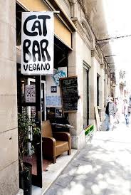 Vegansaurus Guest Post Eating Vegan In Barcelona Barcelona Bars Barcelona Travel Cat Bar