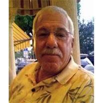 Michael Wald Obituary