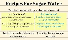 feeding bees sugar water how why carolina honeybees