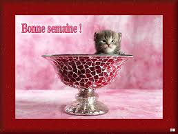 RÃ©sultat de recherche d'images pour "bonne semaine"