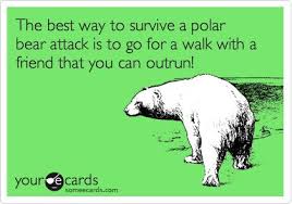 The best way to survive a polar bear ...