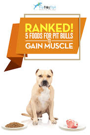 Protein requirements of pit bull puppies. Top 5 Best Dog Food For Pit Bulls To Gain Muscle In 2017