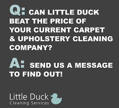 We provide high quality work utilizing. Professional Carpet Cleaning Services Carlisle Cumbria Borders