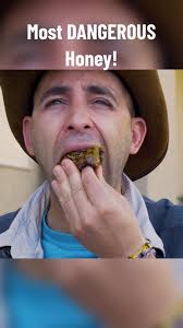 What Does Killer Bee Honey Taste Like? Exploring the Sweetness of Wild Honey