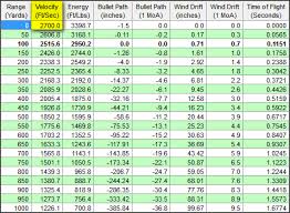 35 Proper Ballistic Caliber Chart