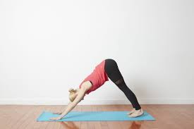 Downward Facing Dog Yoga Poses Essential Yoga Poses Yoga Stretches For Legs