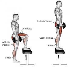 Comment Effectuer L Exercice Squat Unilateral Sur Bac Avec Halteres En Musculation Exercices Squat Musculation Exercices Quadriceps