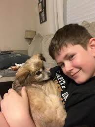 Pecan Grove Area Pets- Lost and Found