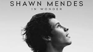 The best album credited to shawn mendes is handwritten which is ranked number 6,507 in the overall greatest album chart with a total rank score of 193. Singer Shawn Mendes Announces Release Date Of His Documentary Titled In Wonder On Netflix Hollywood News India Tv