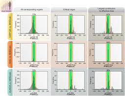 Mird 143 - MIRD Pamphlet No. 28, Part 1: MIRDcalc—A Software Tool for  Medical Internal Radiation Dosimetry